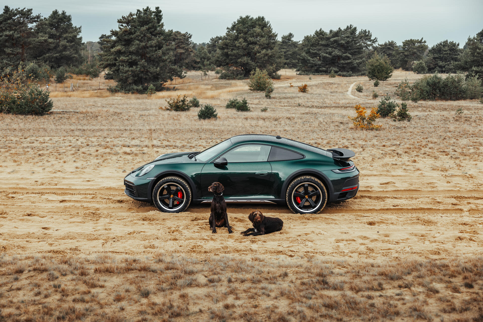 Find a car that suits you